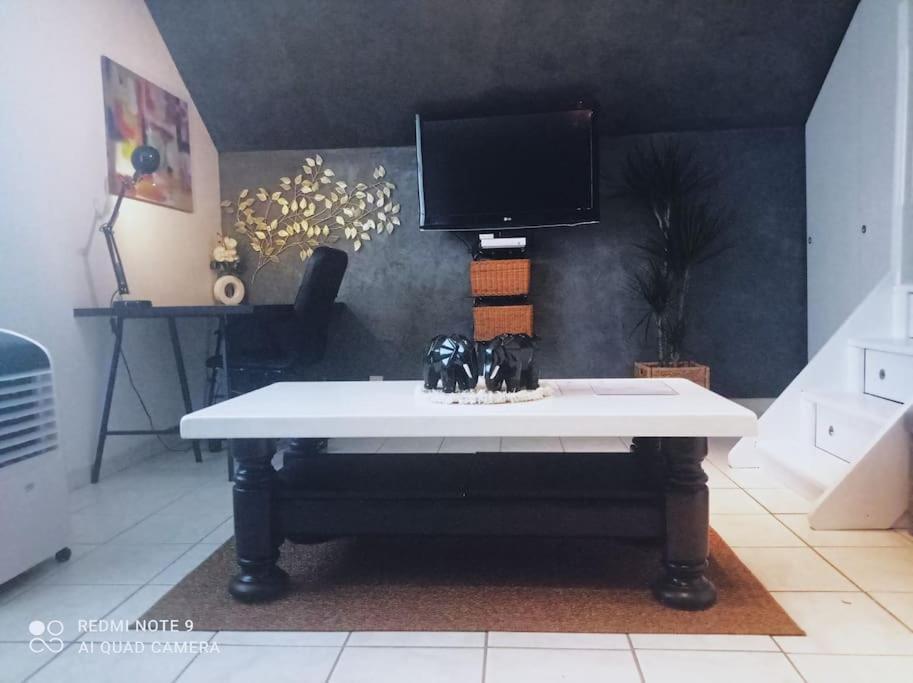 Le Duplex Decontracte Fleury-les-Aubrais Exterior foto