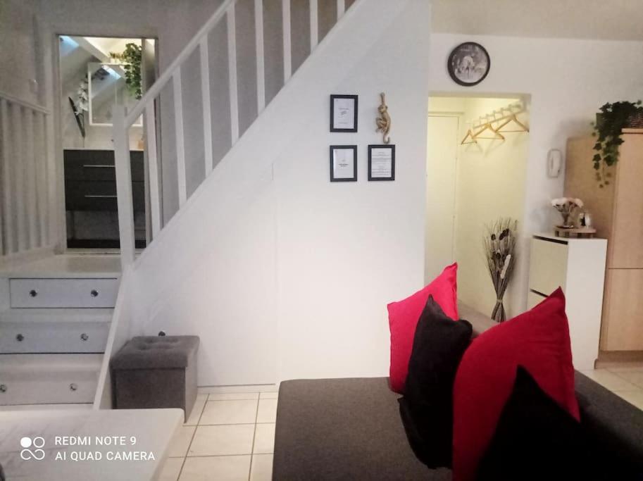 Le Duplex Decontracte Fleury-les-Aubrais Exterior foto